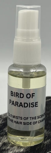 100-BIRD OF PARADISE OIL